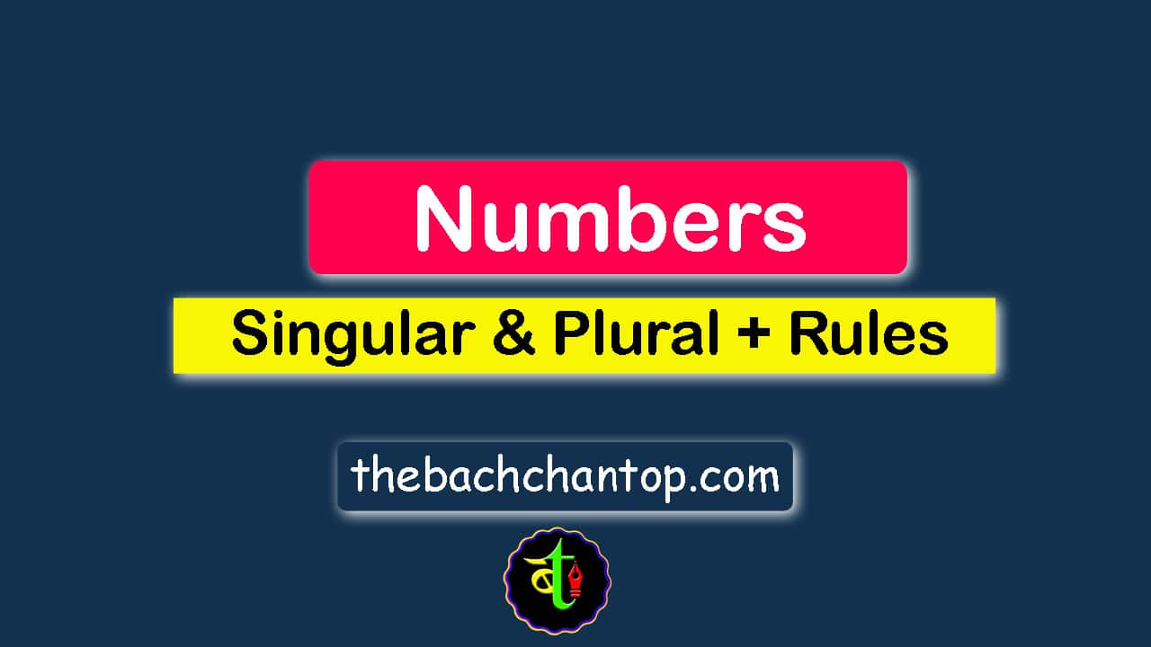 Numbers in English (Singular & Plural) – Complete Grammar Guide