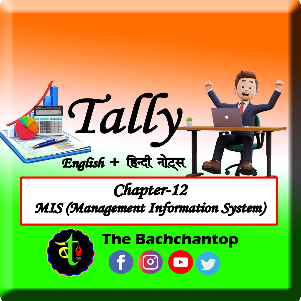 MIS (Management Information System) in Tally