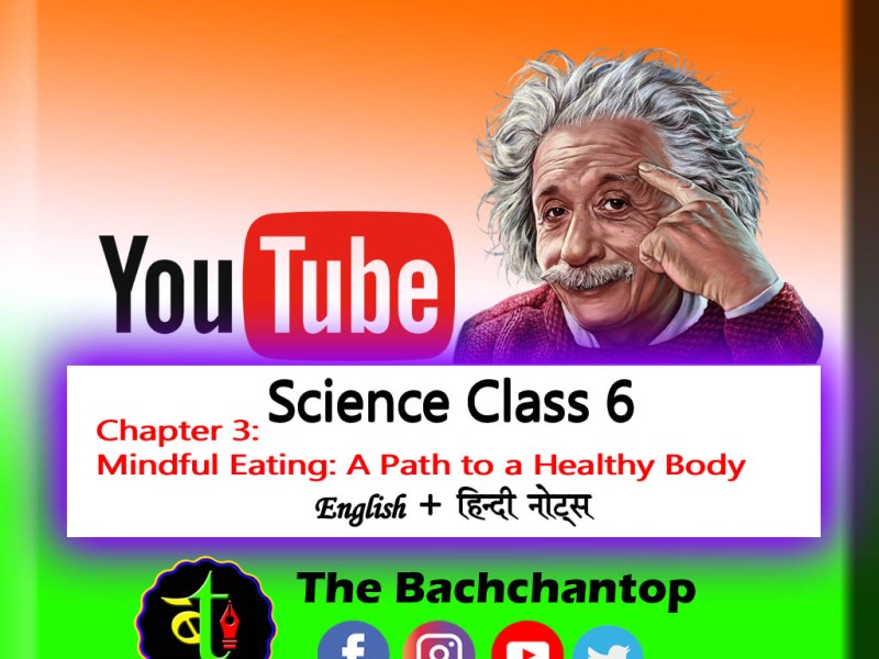 NCERT Class 6 Science Chapter 3 Question Answer Mindful Eating: A Path to a Healthy&nbsp;Body