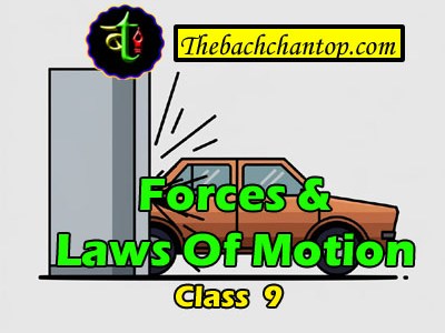 Chapter 8 : Force and Laws of Motion – Class 9&nbsp;(NCERT)