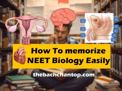 How to Memorize NEET Biology&nbsp;Easily