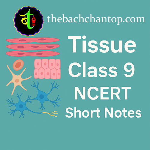 CBSE Notes for Class 9 Science Chapter 6 – Tissue