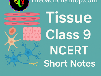 CBSE Notes for Class 9 Science Chapter 6 –&nbsp;Tissue