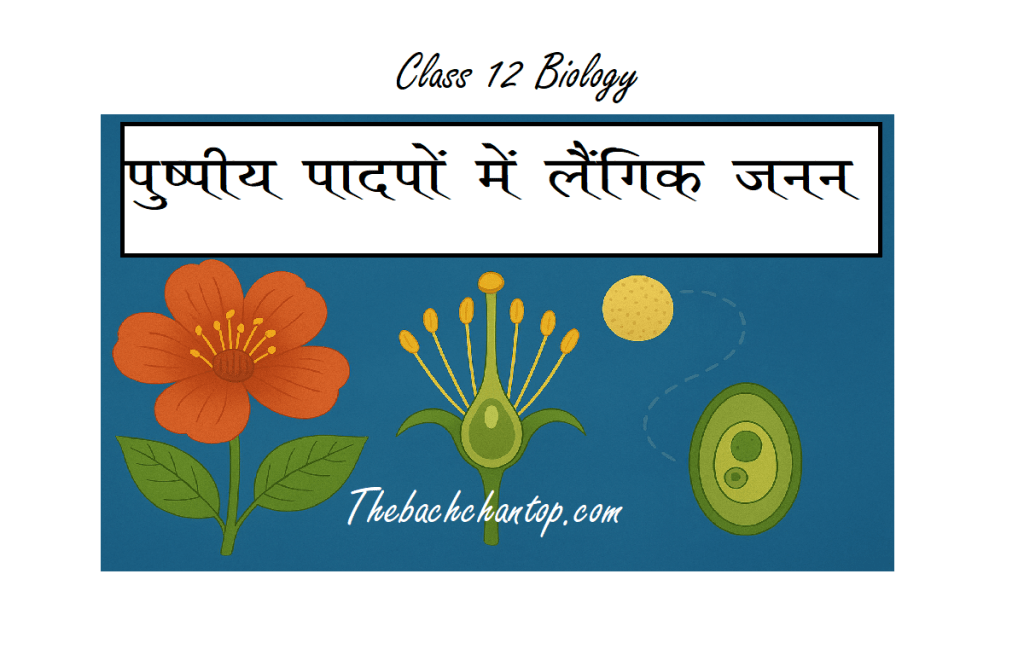कक्षा 12 जीवविज्ञान अध्याय 1 – पुष्पीय पौधों में लैंगिक जनन नोट्स PDF (फ्री&nbsp;डाउनलोड)