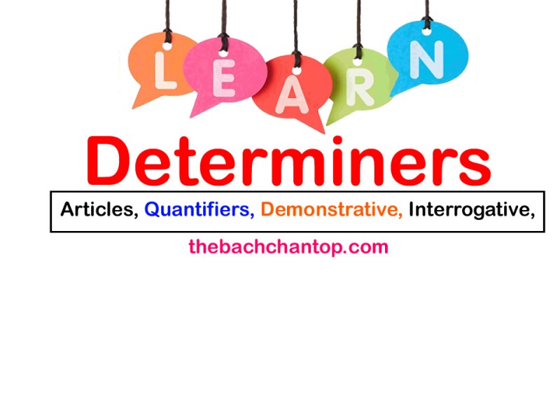 English Grammar – Determiners: Full Notes, Examples & Practice&nbsp;Questions