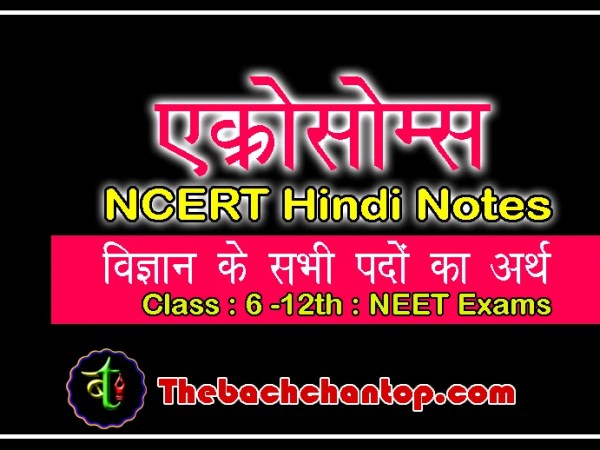 एक्रोसोम (Acrosome) – सम्पूर्ण बिंदुवार नोट्स (NCERT&nbsp;आधारित)