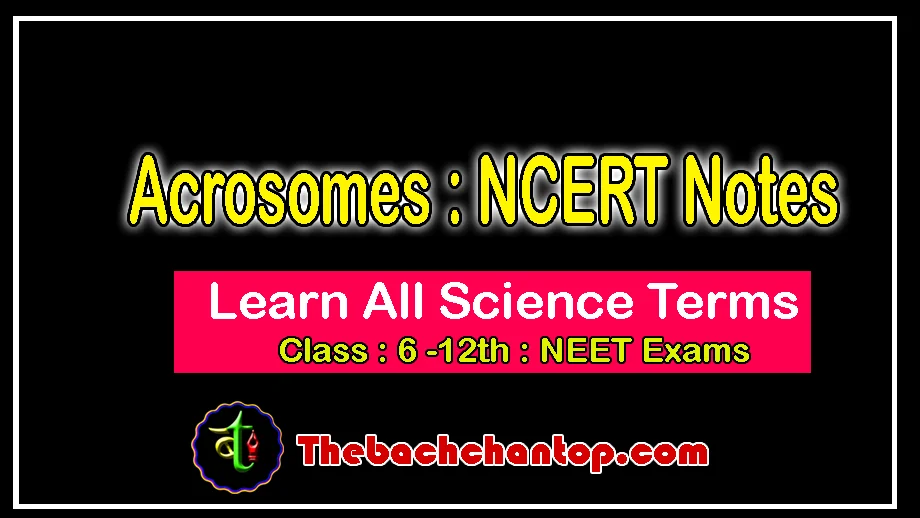 Acrosome – Complete Notes