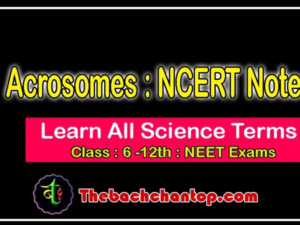 Acrosome – Complete&nbsp;Notes
