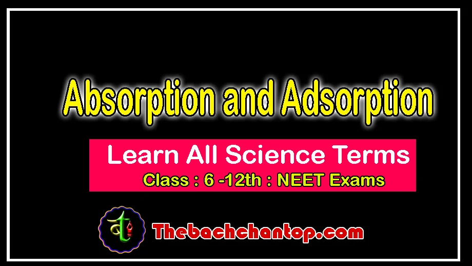 Absorption and Adsorption