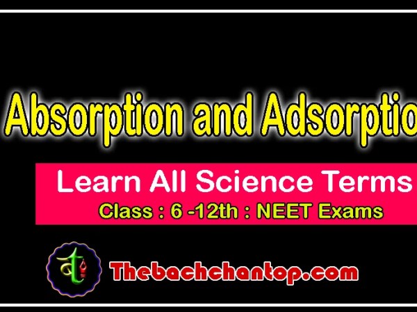 Absorption and Adsorption
