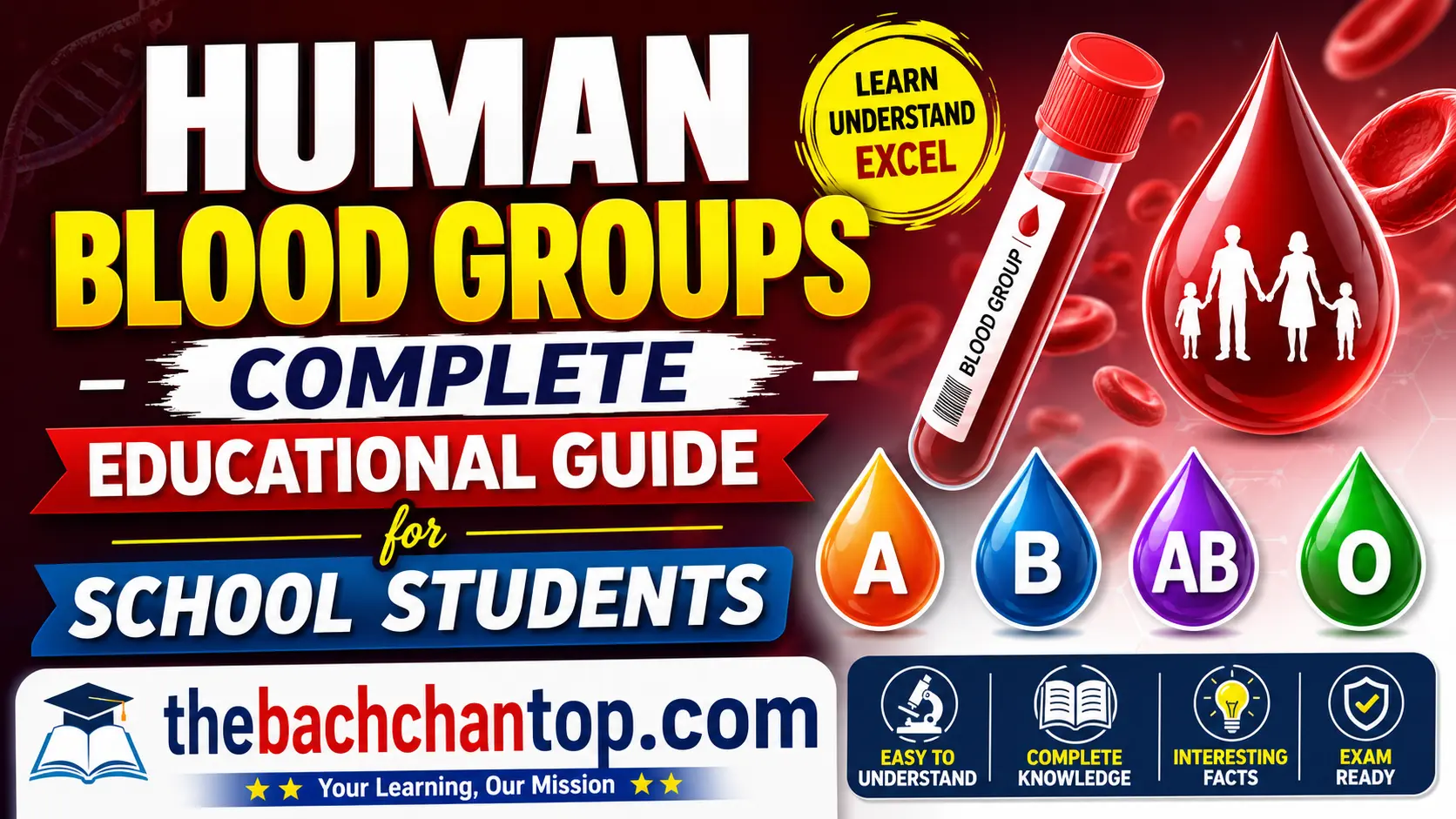 Human Blood Groups – Complete Educational Guide for School Students