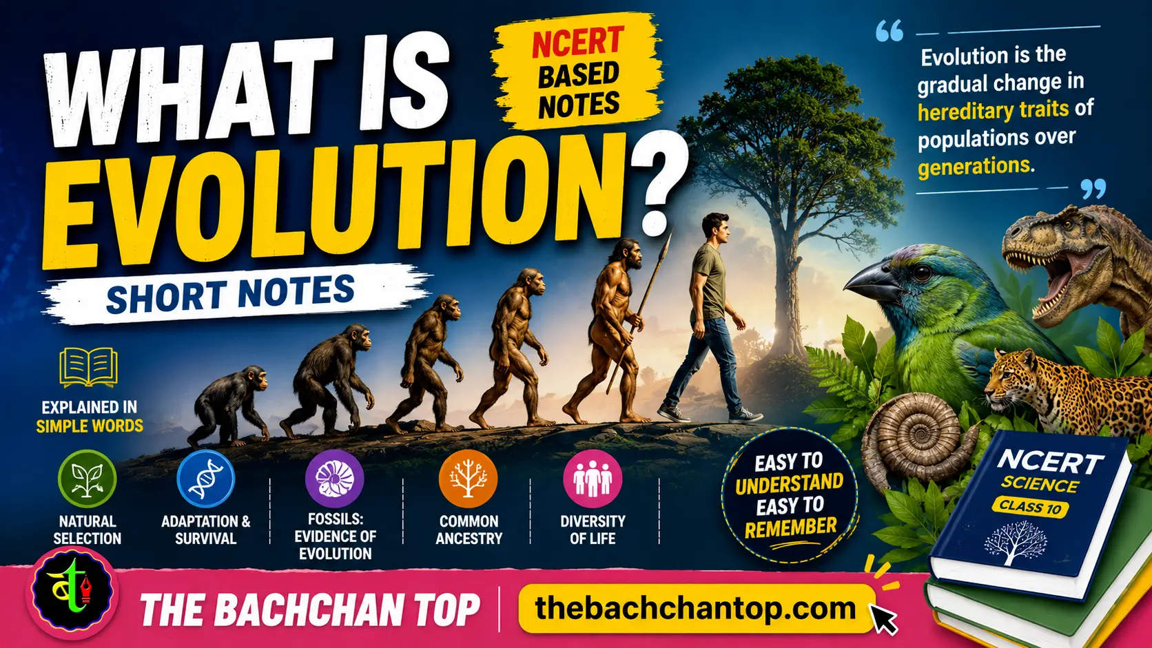 What is Evolution? Short notes
