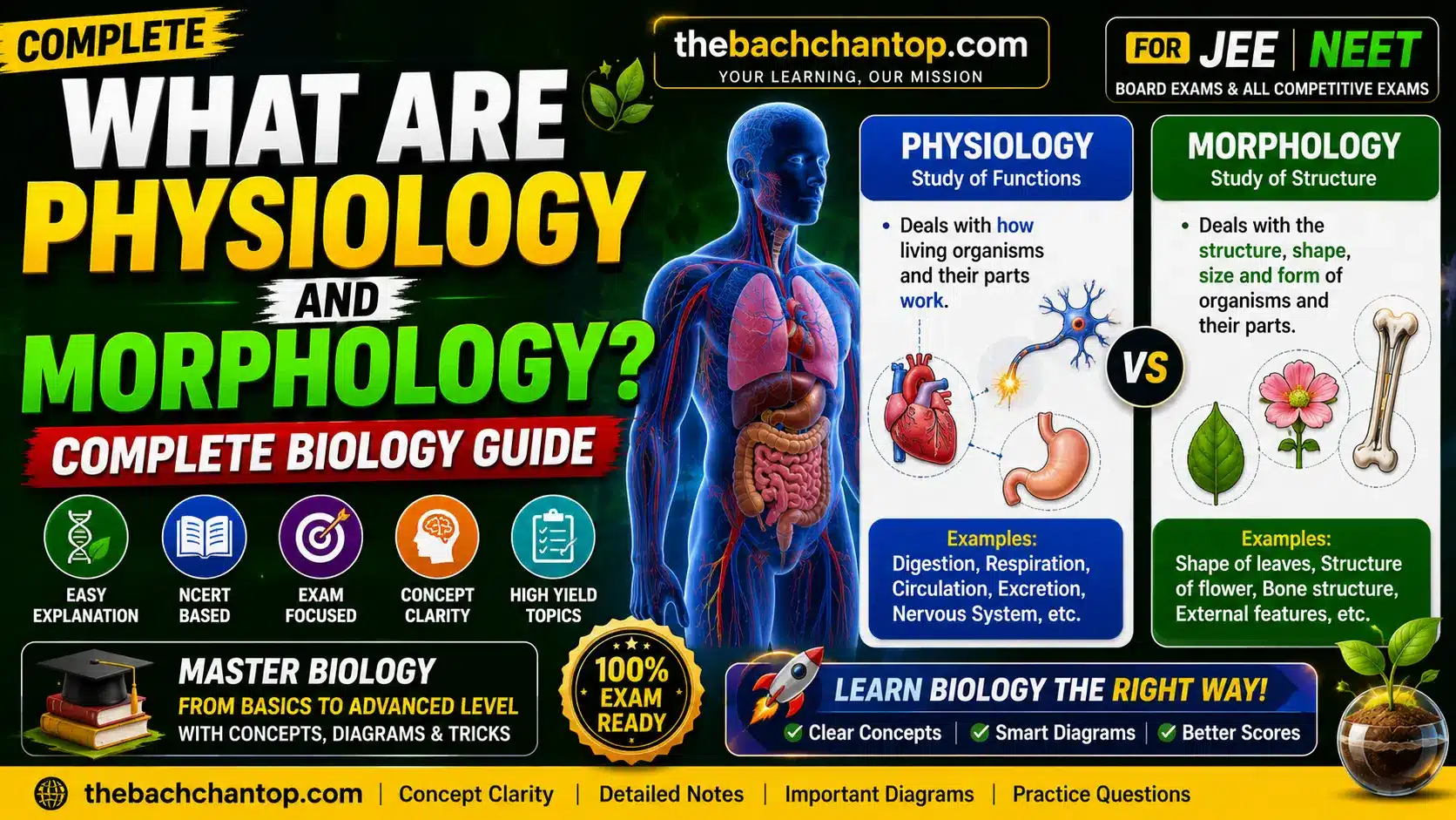 What Are Physiology and Morphology? Complete Biology Guide