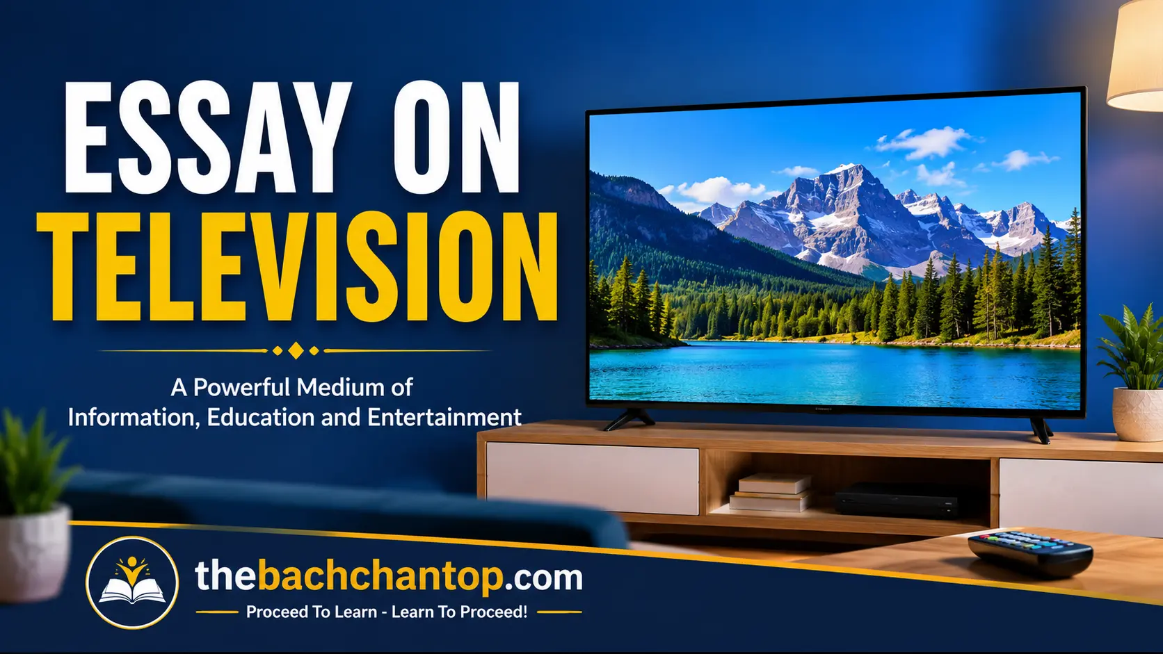 Essay on Television