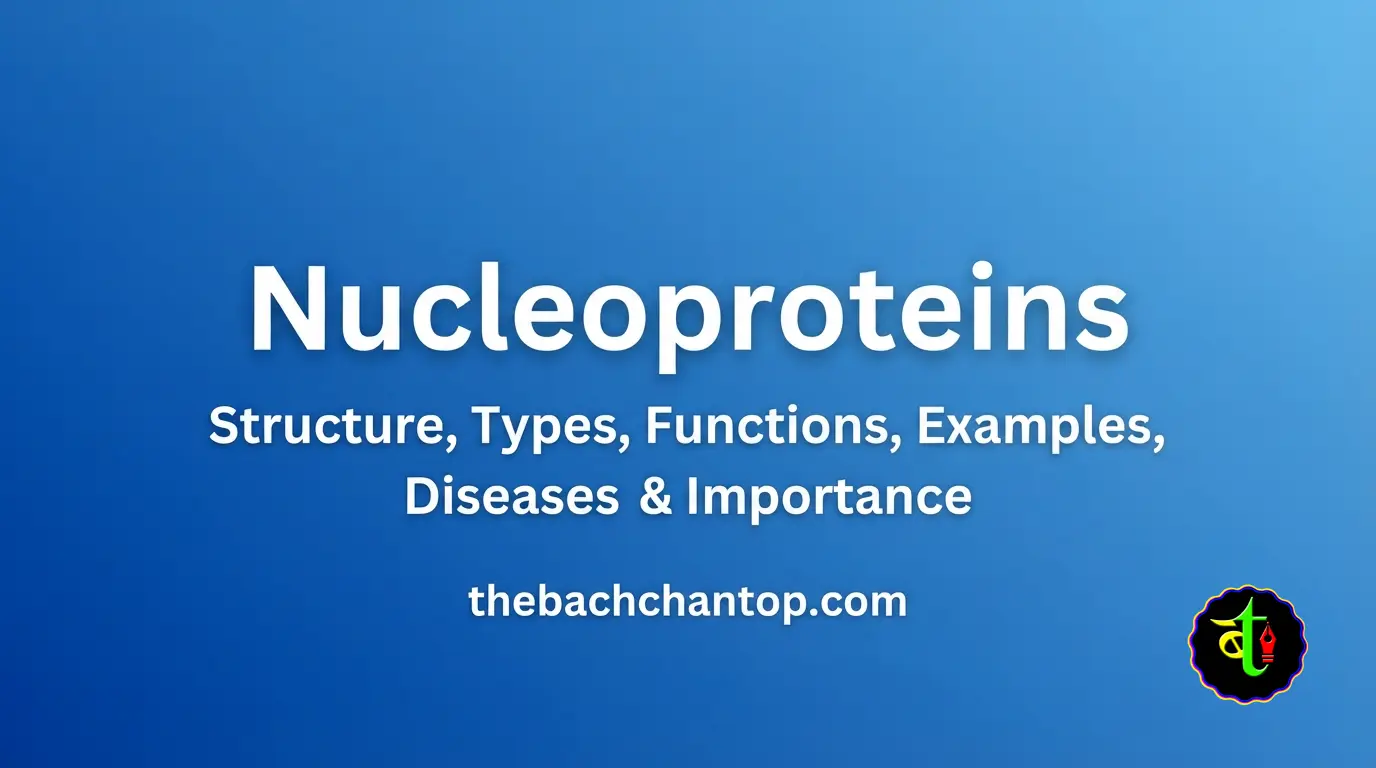 Nucleoproteins: Structure, Types, Functions, Examples, Diseases & Importance