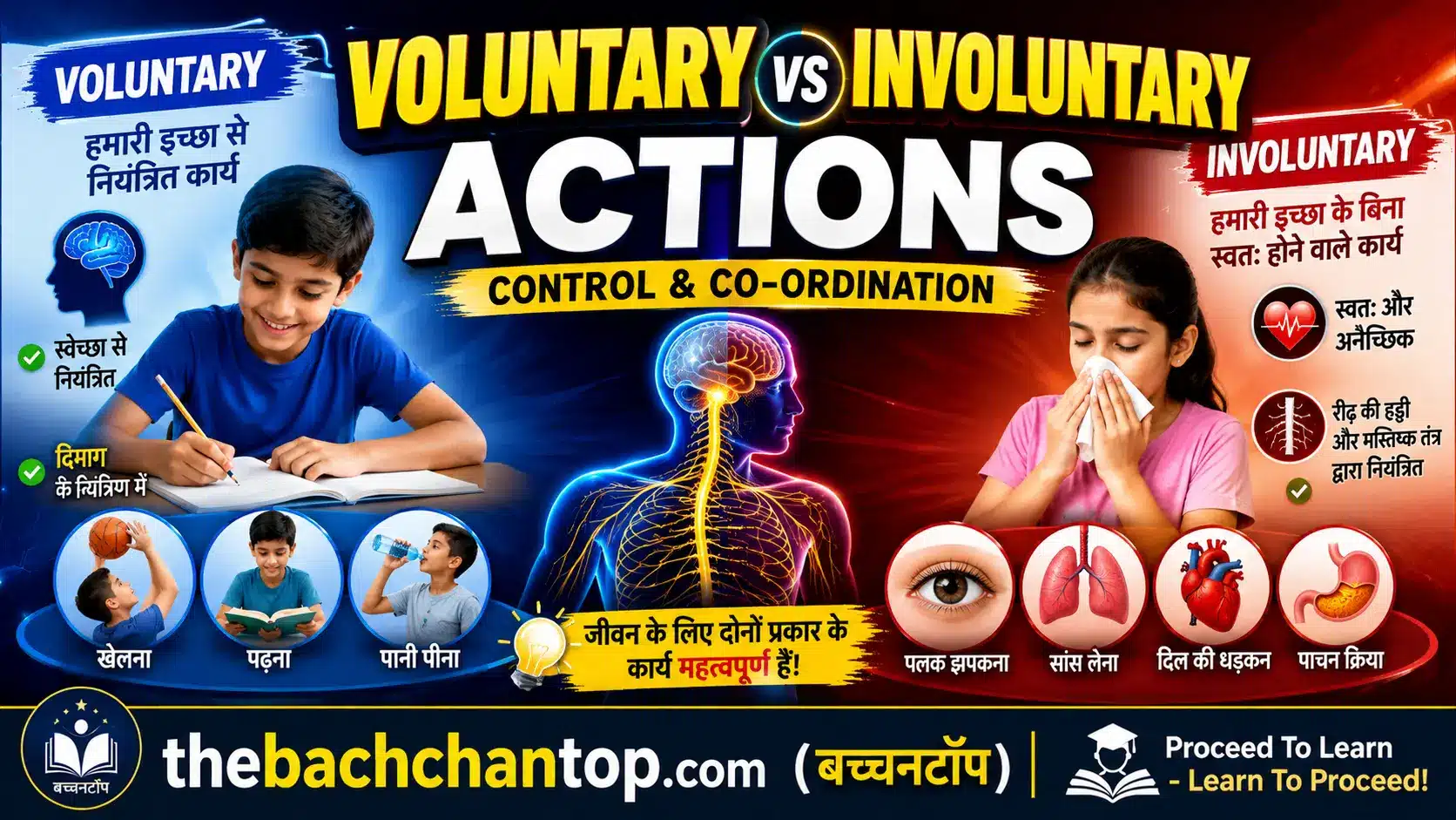 Difference Between Voluntary and Involuntary Actions (NCERT Notes)