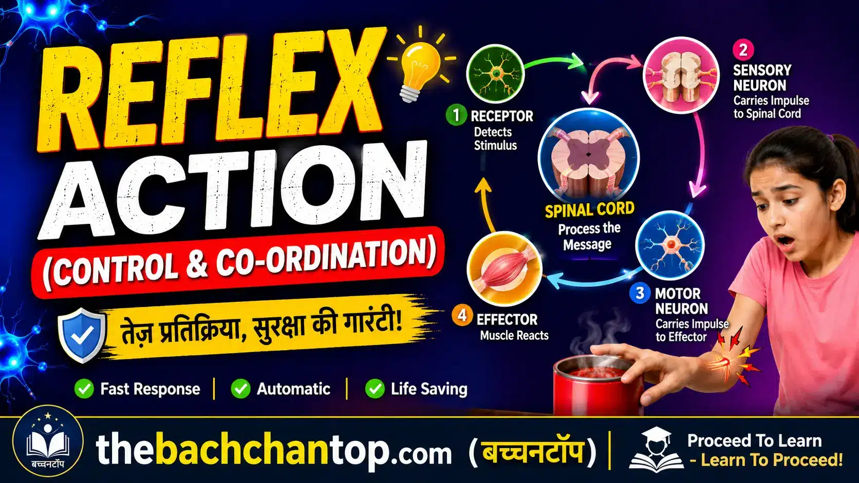 What is Reflex Action? | Complete NCERT Notes