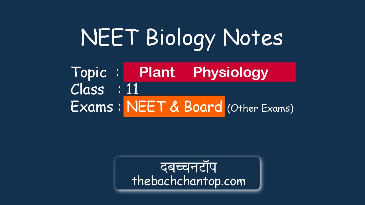 Plant Physiology : NEET Biology Notes